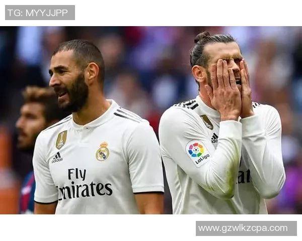 西甲专家希德洛维直言比赛判罚令人失望让人感到无奈